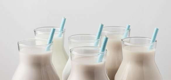 comer laticínios em shavuot