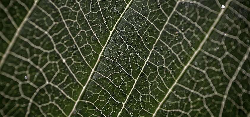 CIÊNCIA E NATUREZA