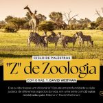 Z de zoologia